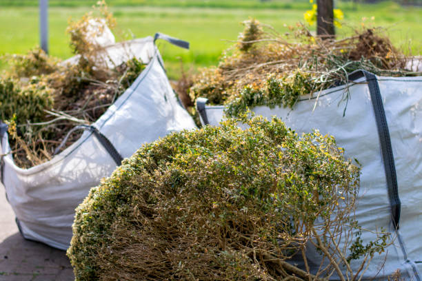 Best Local Junk Hauling  in North Druid Hills, GA