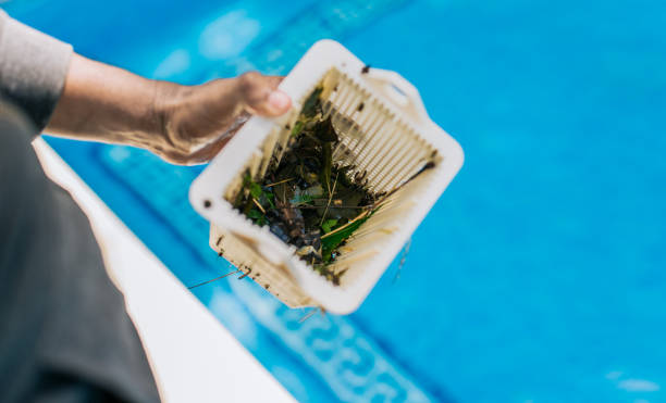Best Estate Cleanout Services  in North Druid Hills, GA